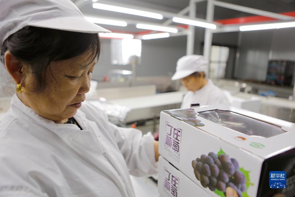 以小博大白菜网